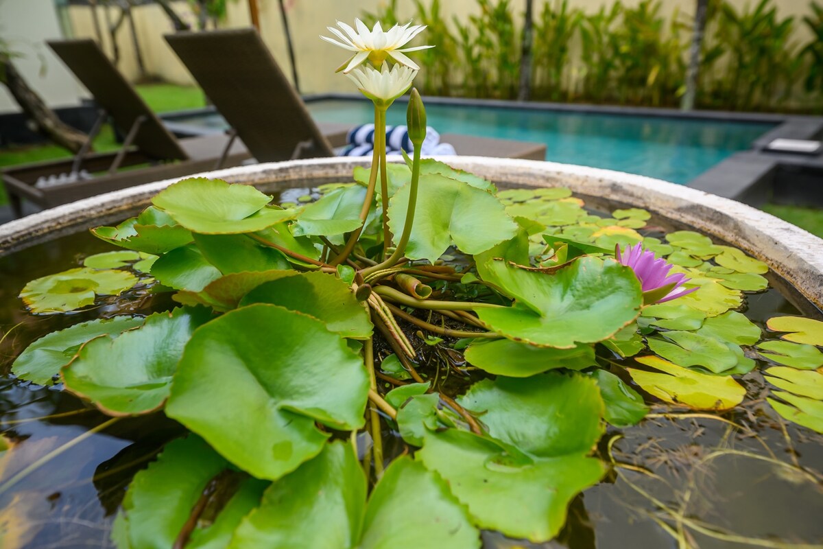 Lucky Lily Villa